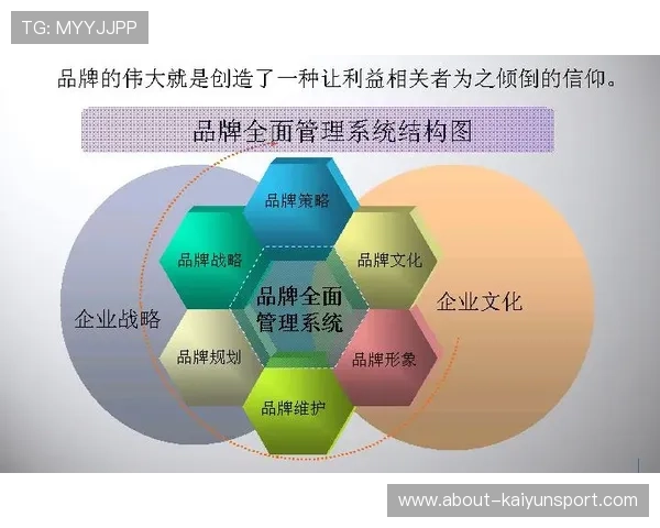 打造独特品牌文化:开云品牌形象塑造中的文化元素应用分析